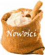 Nowości w firmie